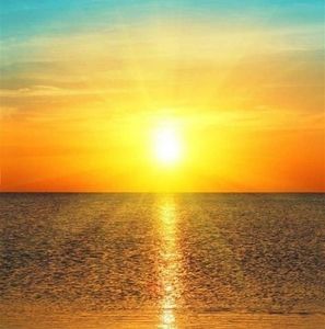 Meet your Posher, Gris